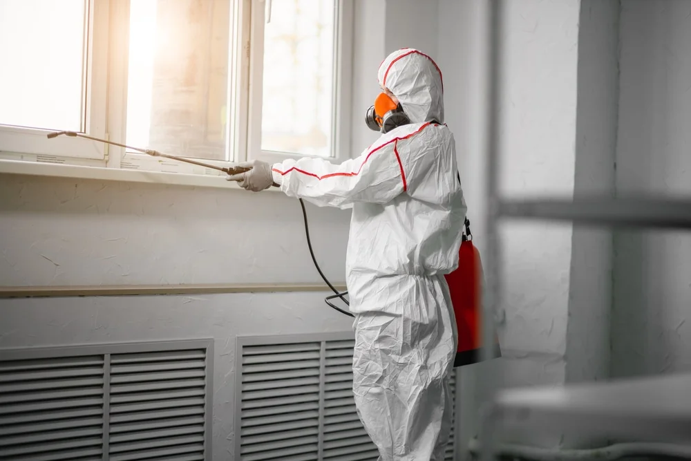 Professional mold remediation services in Nalcrest, FL